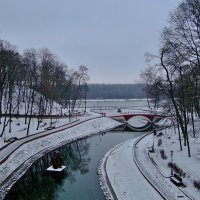 Парк зимой.. :: Юрий Анипов 