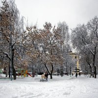 по первому снегу :: gribushko грибушко Николай
