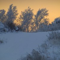 Закатный свет. :: nadyasilyuk Вознюк