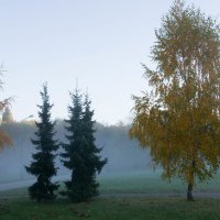 Осень туманная-4 :: Виктор 