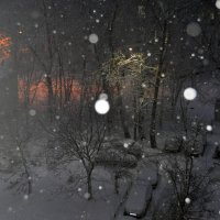 Первый снег за окном. :: Любовь Зима