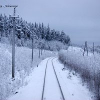 Железнодорожная зима :: Наталья 