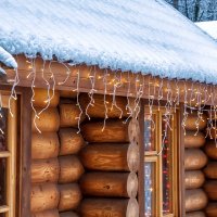 У леса на опушке .... :: Анатолий. Chesnavik.