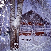 Декабрьский эскиз :: Николай Туркин 