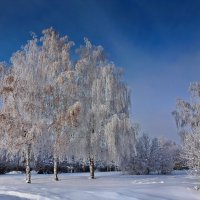 Ясный день :: Виктор Четошников