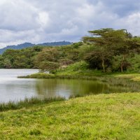 Озеро Момелла в парке Аруша (Танзания, декабрь 2015) :: Сергей Андрейчук