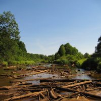 Уборть. Малая вода. :: Николай Котко