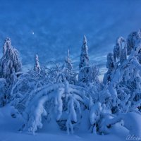 Зимняя сказка :: Александр Чазов