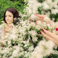Цветение в саду :: Татьяна Бирюкова