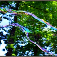 Учимся правильно надувать мыльные пузыри! :: Андрей Хаустов