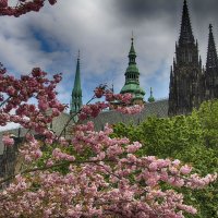 весна в Праге :: Инга Барковская