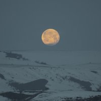Луна над горизонтом :: Владимир Богославцев(ua6hvk)