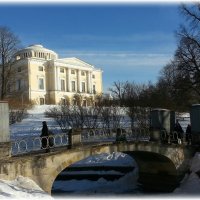 Зимний Павловск :: Анастасия Биковская