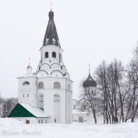 Распятская церковь-колокольня :: Михаил Ермаков