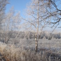 "весь день стоит как бы хрустальный..." :: Галина Флора