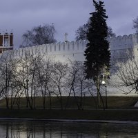 Новодевичий монастырь. :: Александр Аксёнов