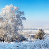 В белых одеждах :: Анатолий Иргл