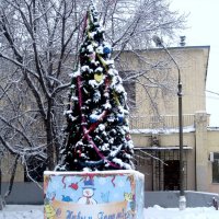 Елочка к Новому году :: Елена Семигина