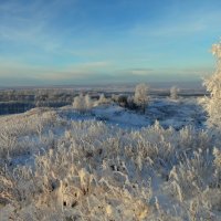 В вечернем свете. :: nadyasilyuk Вознюк