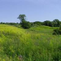 В окрестностях Зарайска :: Виктор Мухин