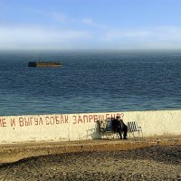 прогулки к морю :: Александр Корчемный