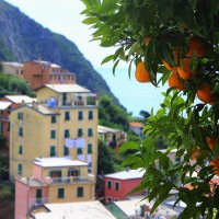 Italy . Cinque Terre :: Milagros 
