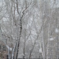 Зима :: Татьяна Лукьянова(Степанян)