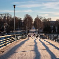 Лыжня или страдания по зиме русского медведя. :: Евгений Никифоров