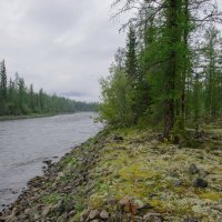 *** :: Александр Хаецкий