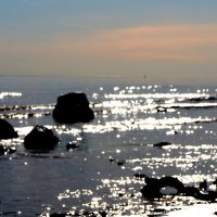 Тень на пляже, Финский залив :: Дарья :)
