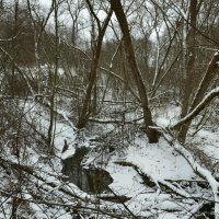 Не замёрзшие зимой водоёмы :: Милешкин Владимир Алексеевич 