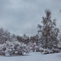 Снег :: Nn semonov_nn