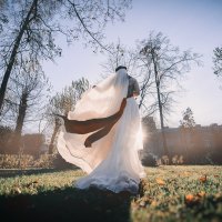 Wedding :: Андрей Копанев