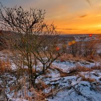 Луч новогоднего светила :: Александр Зиновьев