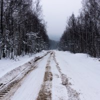 Дорога через "перевалы" :: Роман Синельников