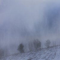 Снегопад :: Юля Колосова