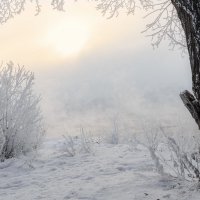 Енисей. Январь. :: Евгений Герасименко