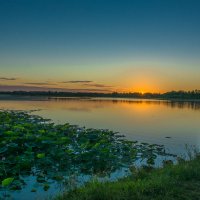 Закат на озере лотосов :: Наталья Сергеевна