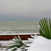 Снег и море... :: СветЛана D
