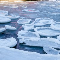 Ледяные лепестки  в Анапской бухте :: Елена Васильева