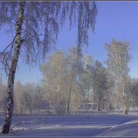 Мороз и Солнце! :: Владимир Холодный