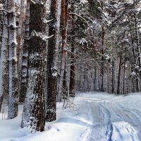 В плену дорожных впечатлений... :: Лесо-Вед (Баранов)