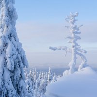 В Каменном городе :: Иван Рочев