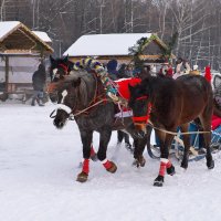 Тройка :: Валерий Шибаев