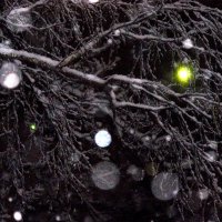 ночной снегопад (белые шары) :: Александр Прокудин