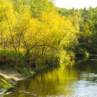 Осень :: Евгения Кузнецова