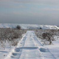 Путь :: Радмир Арсеньев