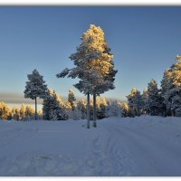 Январь, шестое... :: Василий Хорошев