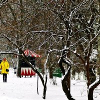 в зимнем парке :: Александр Корчемный