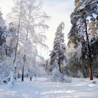 со светлым Праздником Христова Рождества!!! :: Галина Флора